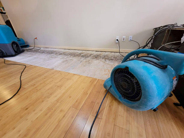 Professional Flood Damage Cleanup technician working in West Columbia, TX